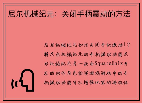 尼尔机械纪元：关闭手柄震动的方法