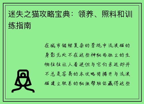 迷失之猫攻略宝典：领养、照料和训练指南